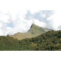 Apuane