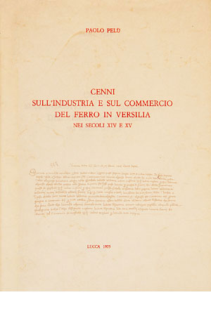 Cenni sull'industria e sul commercio del ferro in versilia