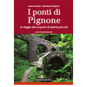 I ponti di Pignone 