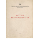 Raccolta provinciale degli usi