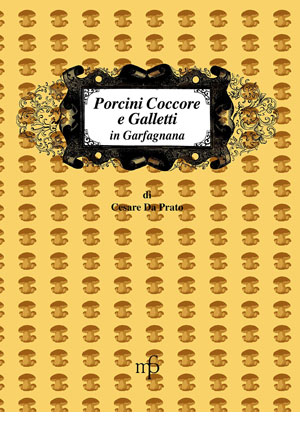 Porcini, Coccore e Galletti in Garfagnana